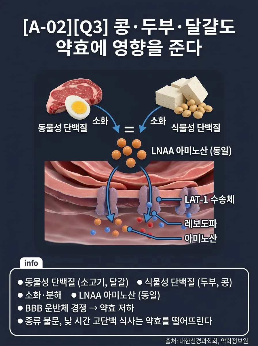 식물성 vs 동물성 단백질의 아미노산 프로필 비교