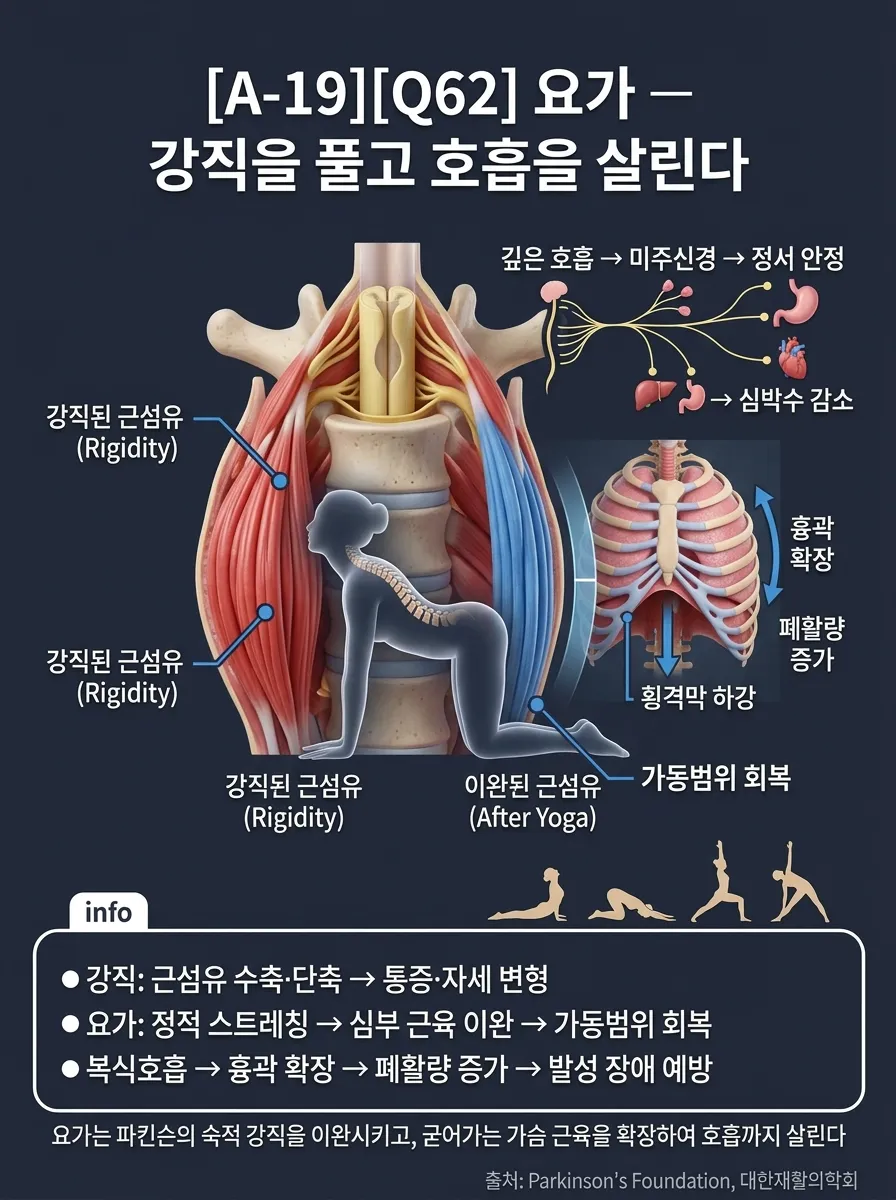 요가 — 강직을 풀고 호흡을 살린다