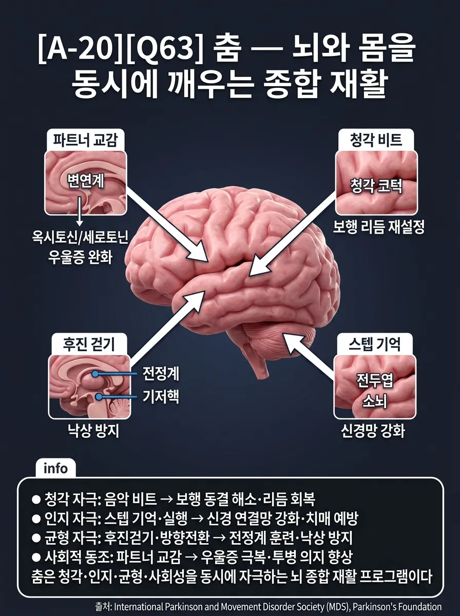 춤 — 뇌와 몸을 동시에 깨우는 종합 재활