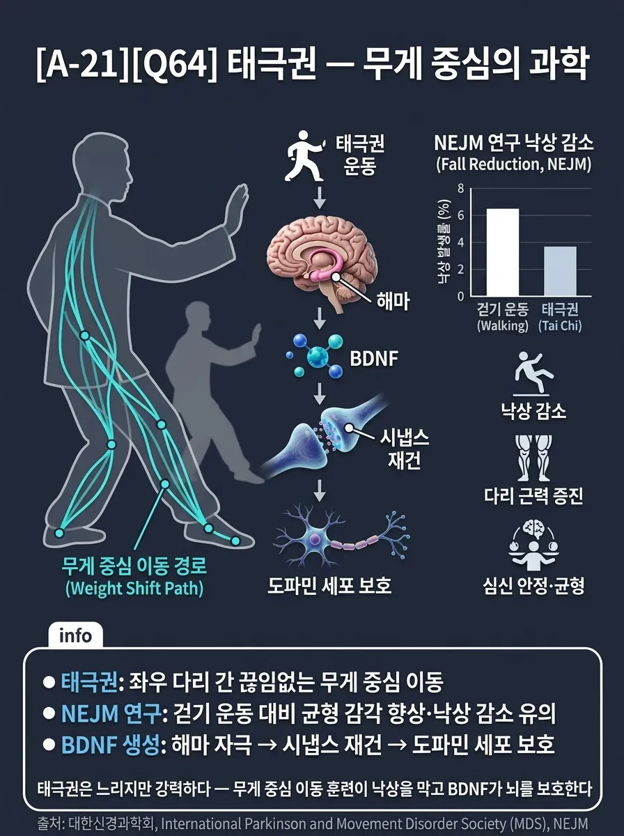 태극권 — 무게 중심의 과학