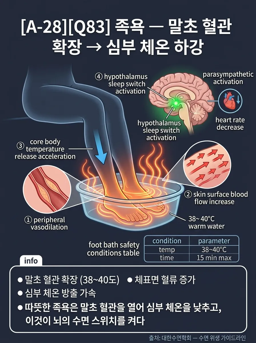 족욕 — 말초 혈관 확장 → 심부 체온 하강 → 입면 촉진