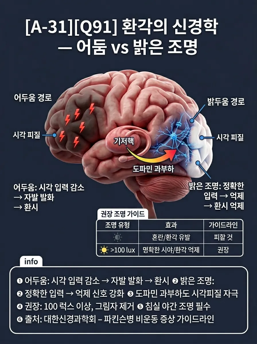 환각의 신경학 — 어둠 vs 밝은 조명