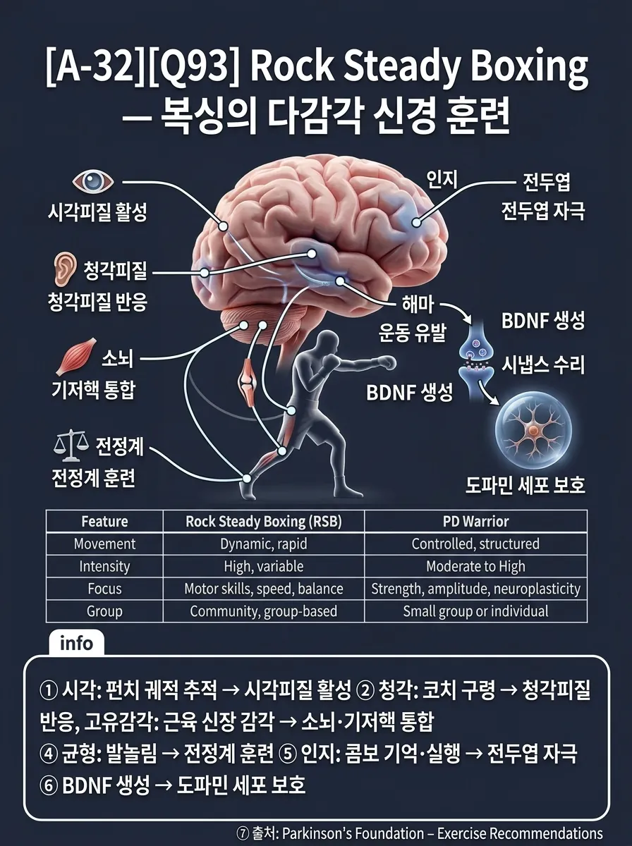 Rock Steady Boxing — 복싱의 다감각 신경 훈련