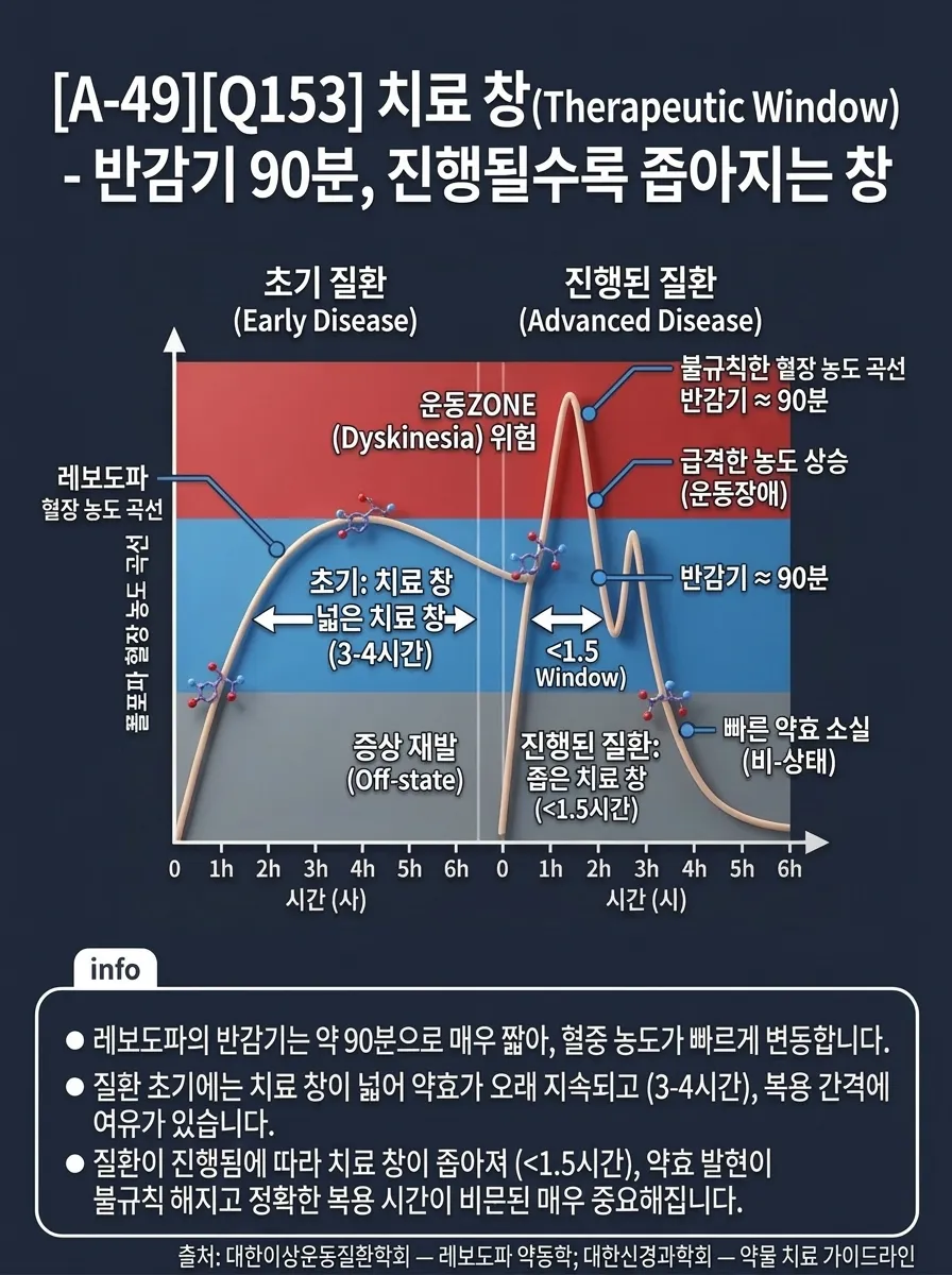 치료 창(Therapeutic Window) — 반감기 90분, 진행될수록 좁아지는 창