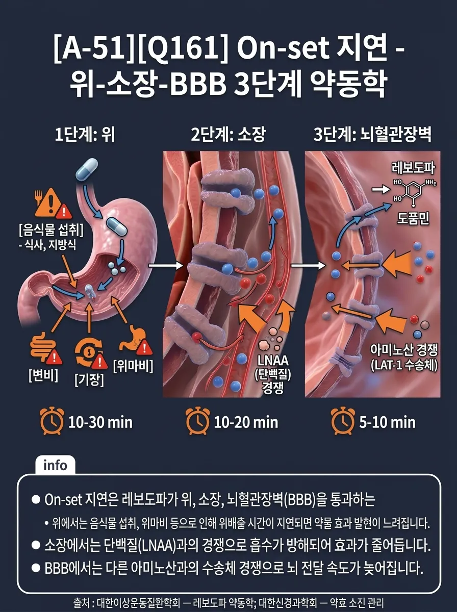 On-set 지연 — 위-소장-BBB 3단계 약동학