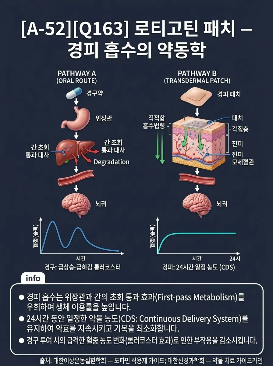로티고틴 패치 — 경피 흡수의 약동학