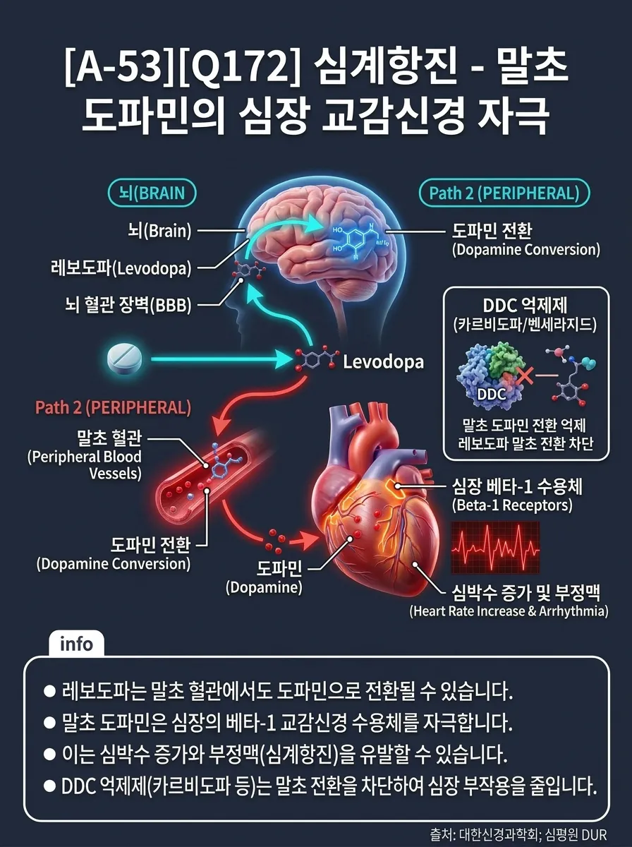 심계항진 — 말초 도파민의 심장 교감신경 자극