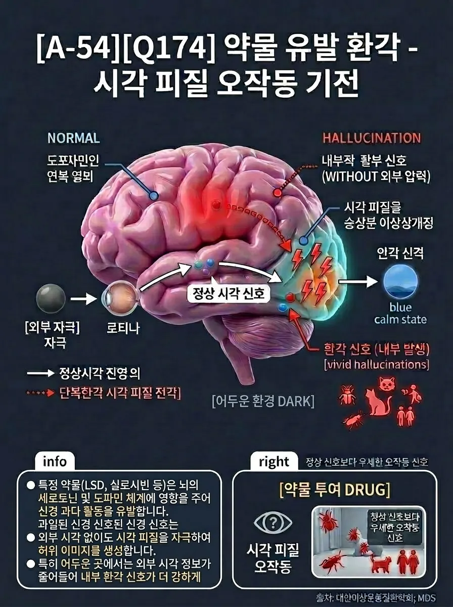 약물 유발 환각 — 시각 피질 오작동 기전