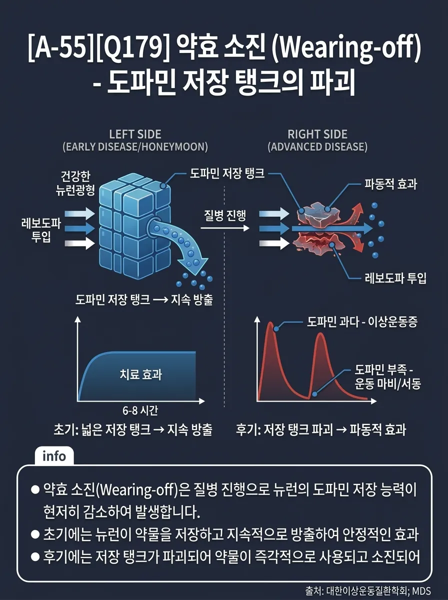 약효 소진(Wearing-off) — 도파민 저장 탱크의 파괴