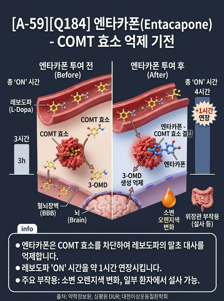 엔타카폰(Entacapone) — COMT 효소 억제 기전