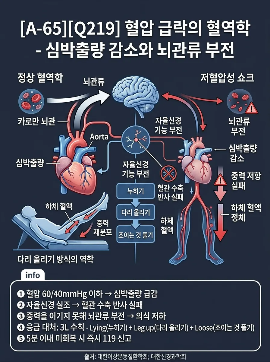 혈압 급락의 혈역학 — 심박출량 감소와 뇌관류 부전