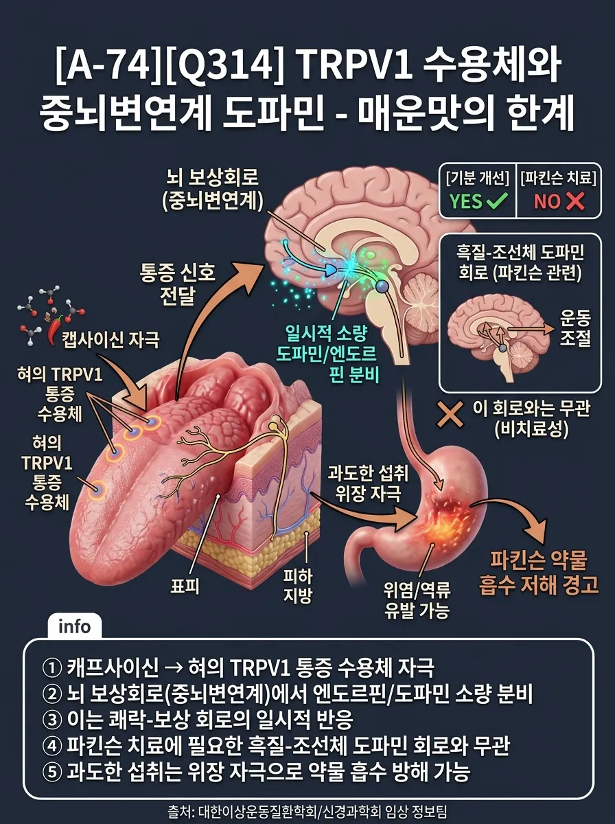 TRPV1 수용체와 매운맛 — 도파민 보상의 한계