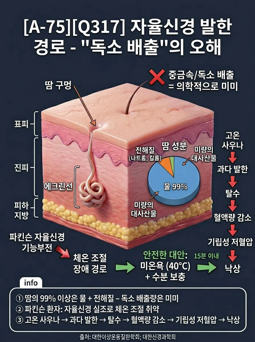 자율신경 발한 경로 — '독소 배출'의 오해