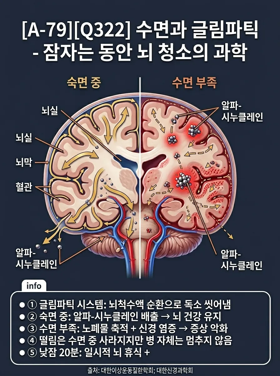 수면과 글림파틱 시스템 — 잠자는 동안 뇌 청소