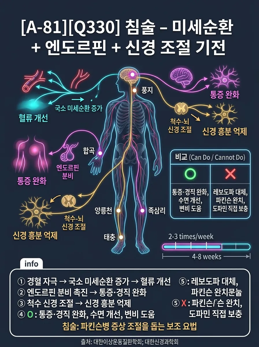 침술 — 미세순환 + 엔도르핀 + 신경 조절 기전
