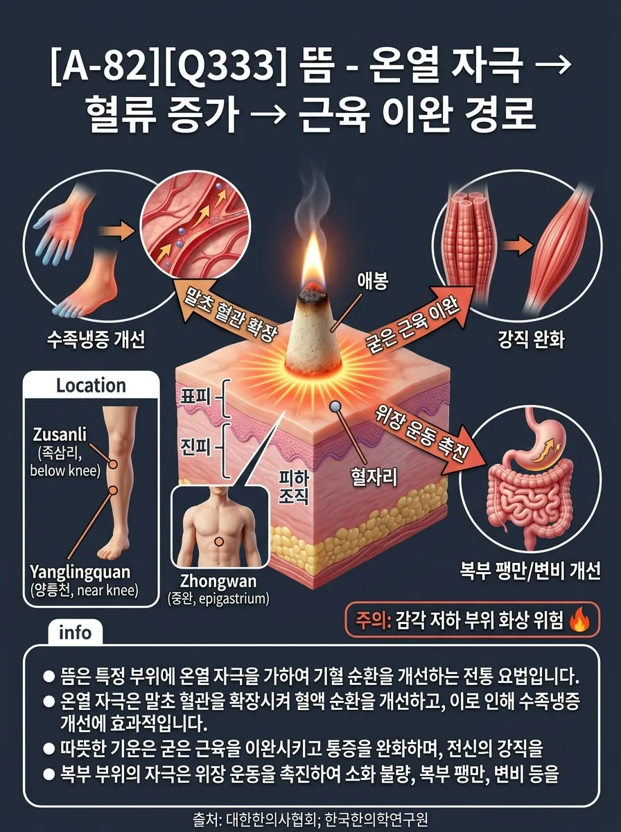 뜸 — 온열 자극 → 혈류 증가 → 근이완 경로