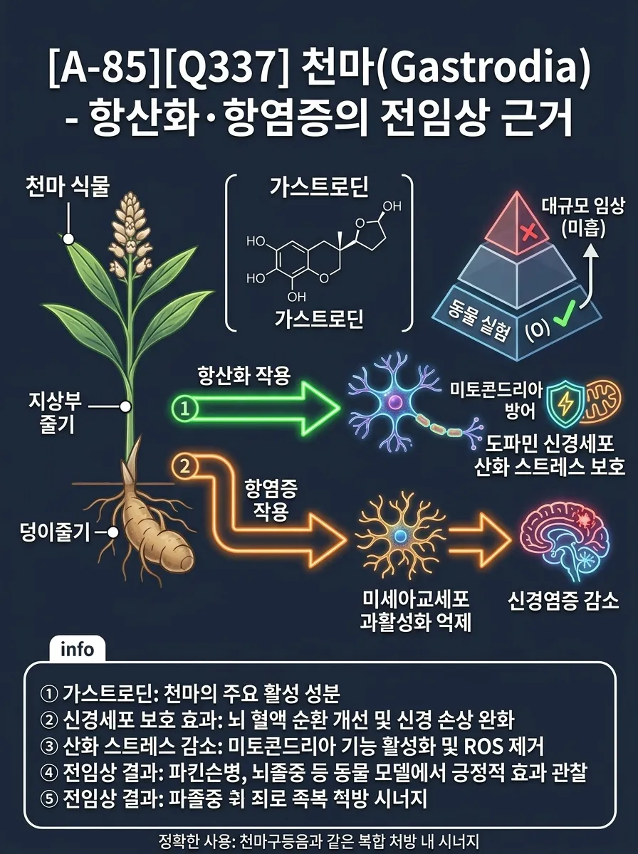 천마(Gastrodia) — 항산화·항염증의 전임상 근거