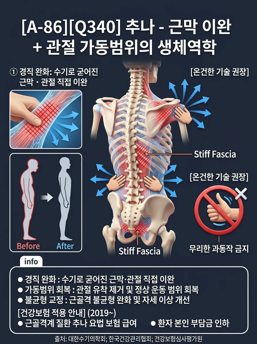 추나 — 근막 이완 + 관절 가동범위의 생체역학