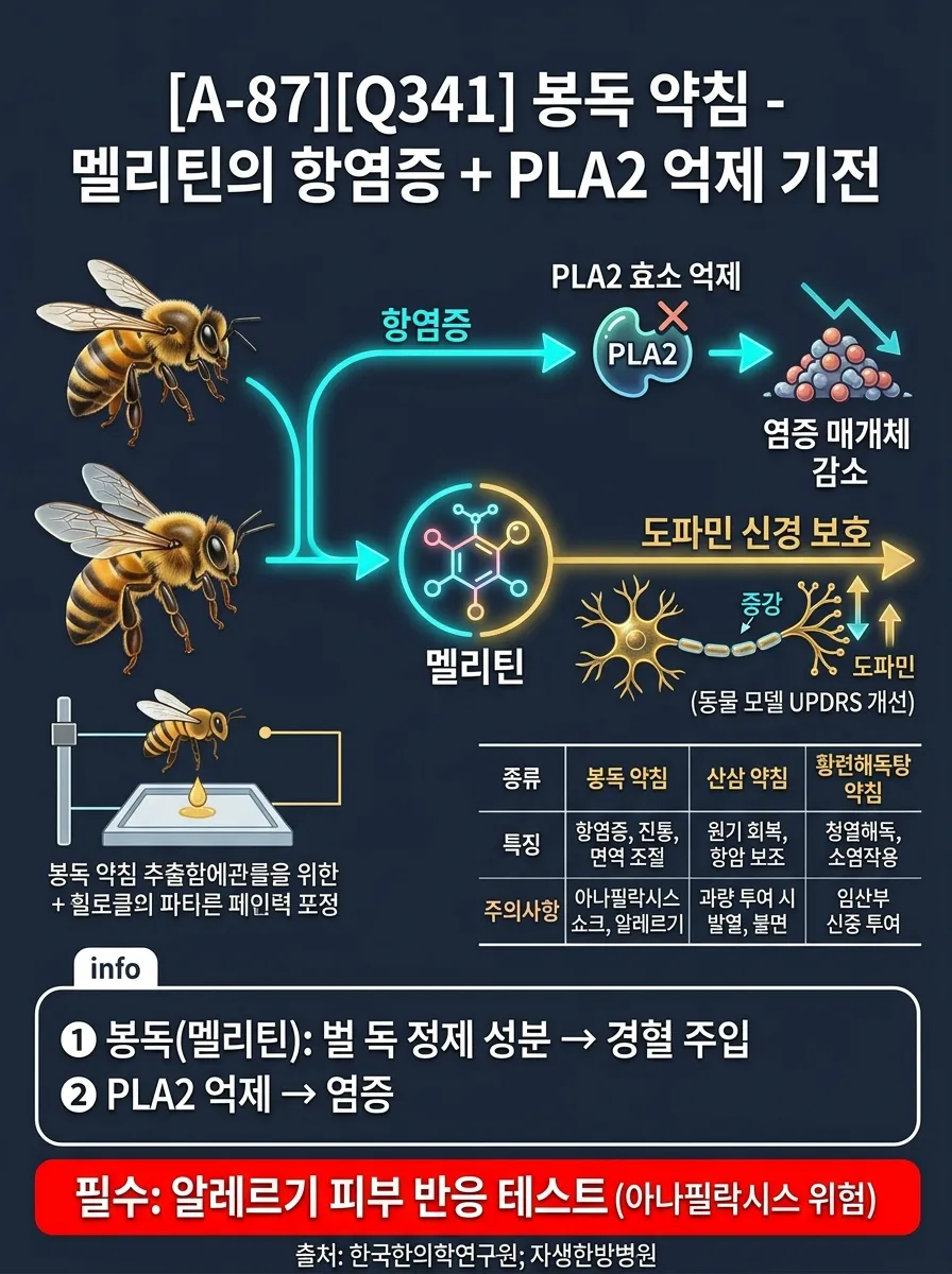 봉독 약침 — 멜리틴의 항염증 + PLA2 억제 기전