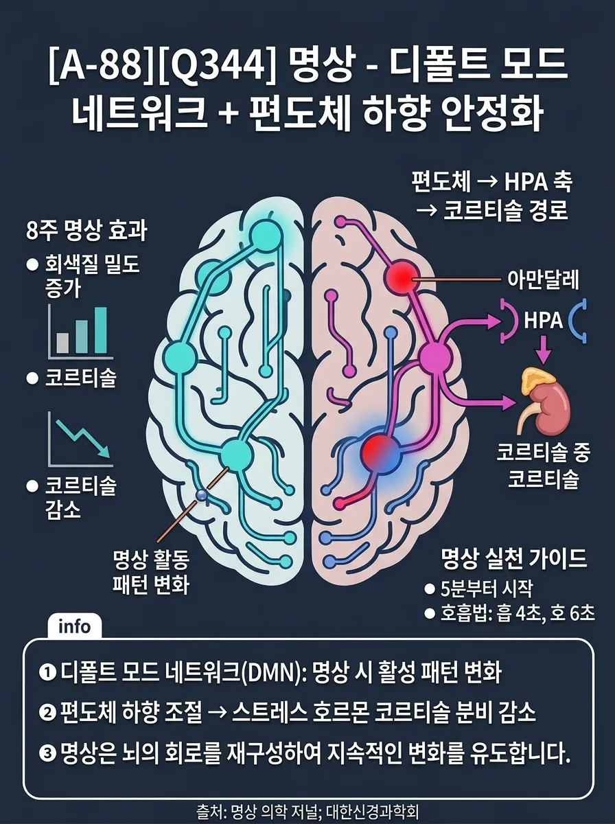 명상 — 디폴트 모드 네트워크 + 편도체 하향 안정화