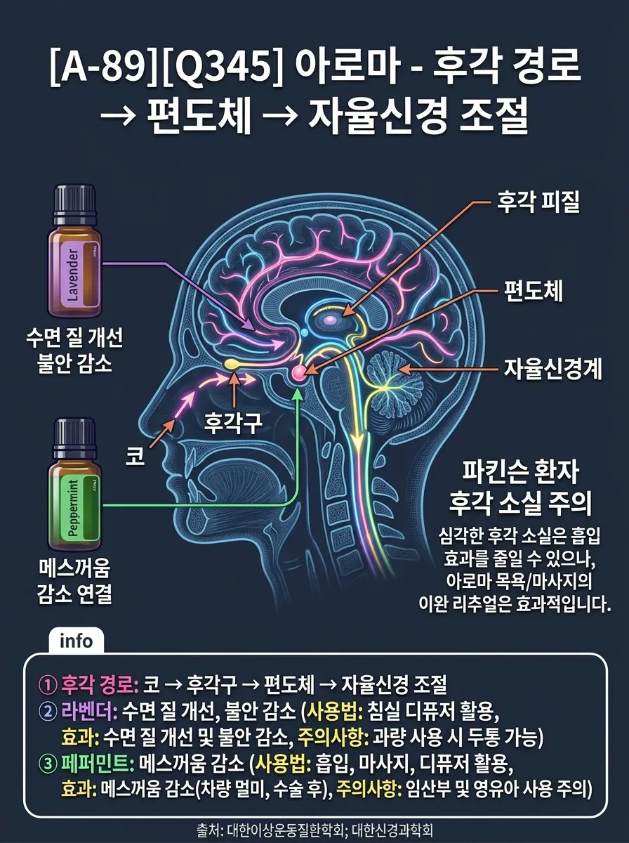 아로마테라피 — 후각 경로 → 편도체 → 자율신경 조절