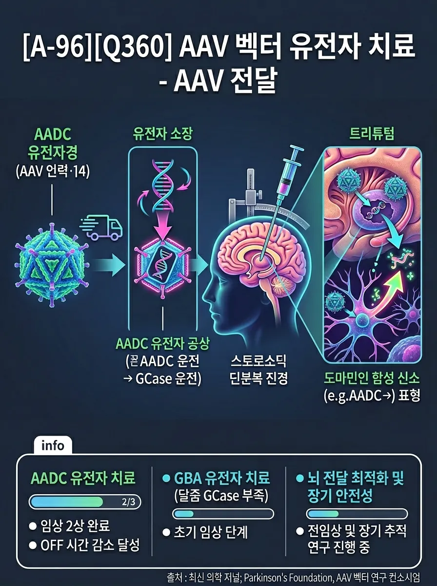 AAV 벡터 유전자 치료 — AADC/GCase 유전자 전달