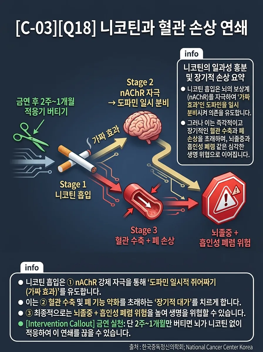 니코틴과 혈관 손상 연쇄