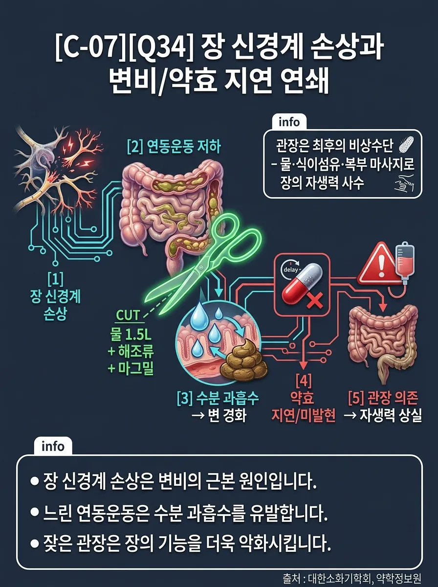 장 신경계 손상과 변비/약효 지연 연쇄