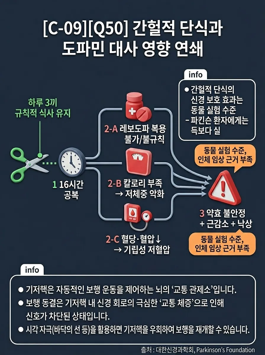 간헐적 단식과 도파민 대사 영향 연쇄