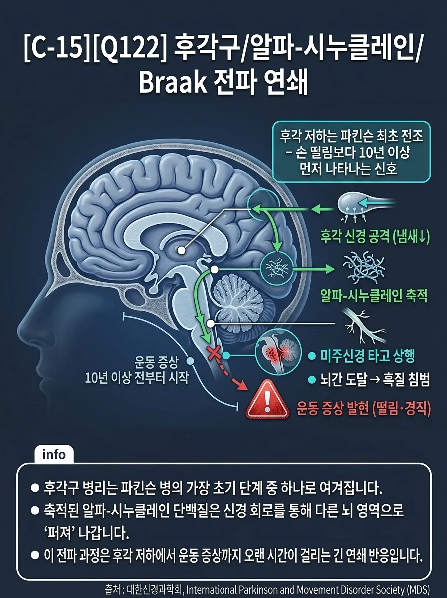 후각구/알파-시누클레인/Braak 전파 연쇄