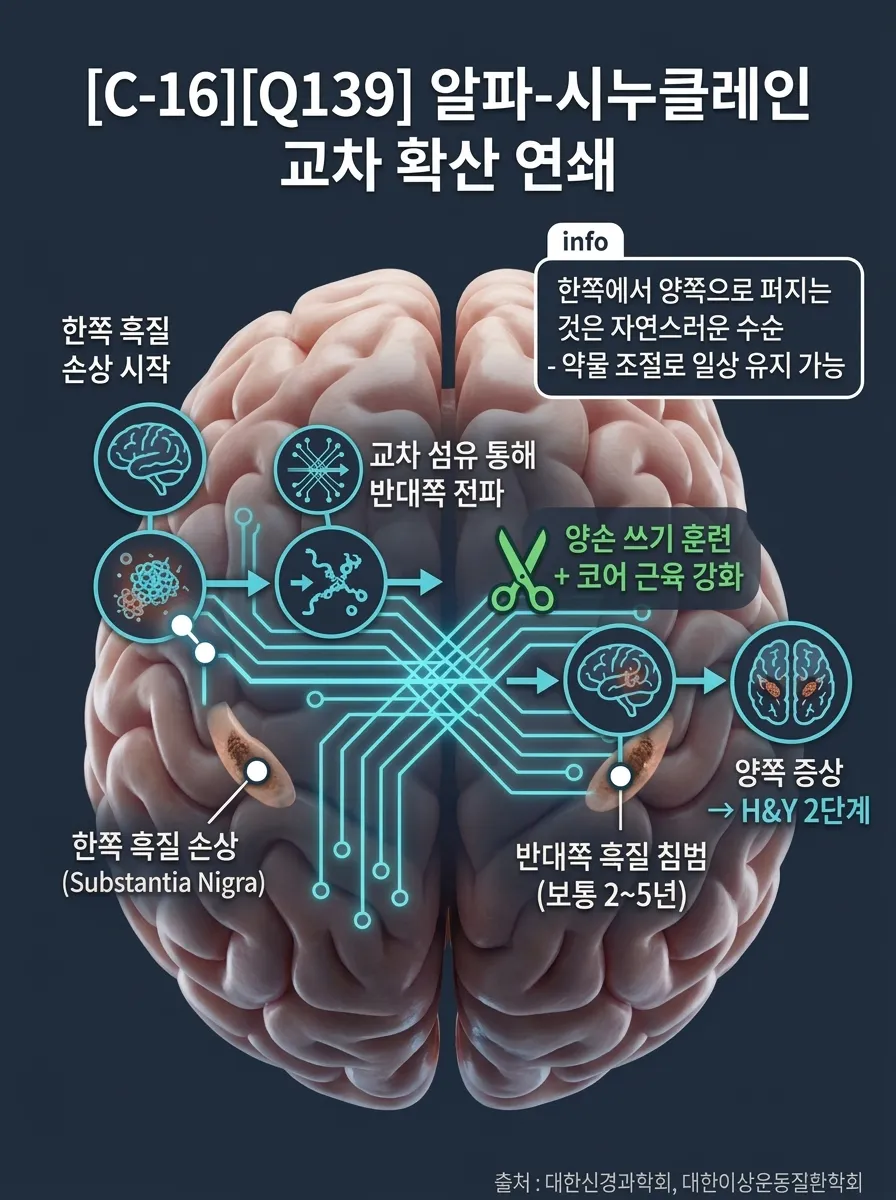 알파-시누클레인 교차 확산 연쇄