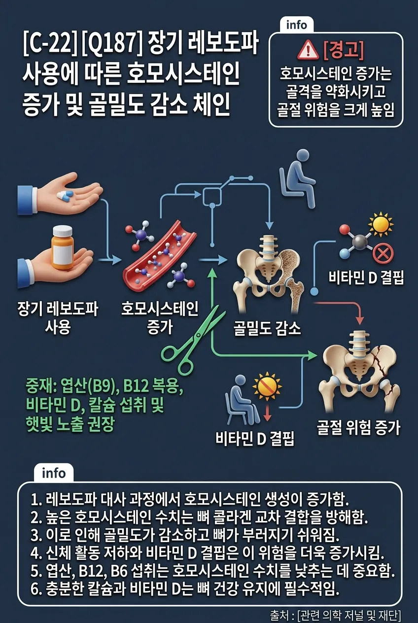장기 레보도파와 호모시스테인/골밀도 감소 체인