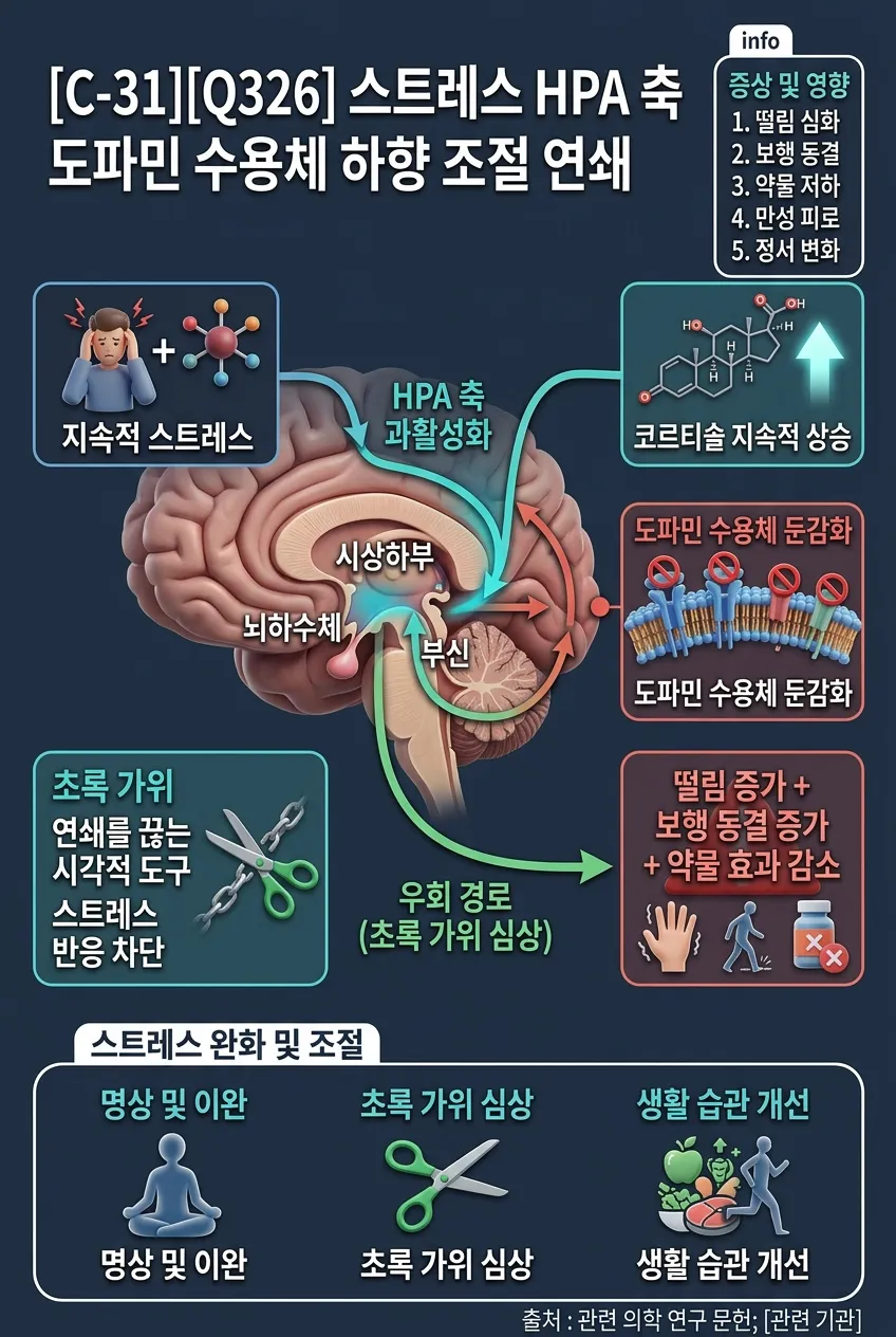 스트레스/HPA 축/도파민 수용체 하향 조절 연쇄