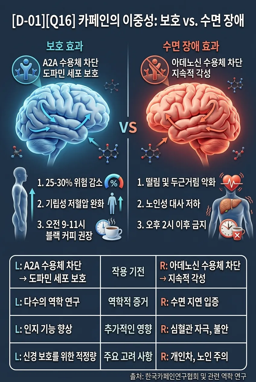 카페인의 이중성: 보호 vs 수면 장애